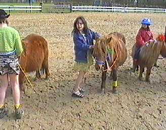 Ponypark Collendoorn, lente 2001