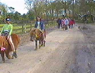 Ponypark Collendoorn, lente 2001