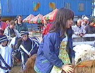 Ponypark Collendoorn, lente 2001