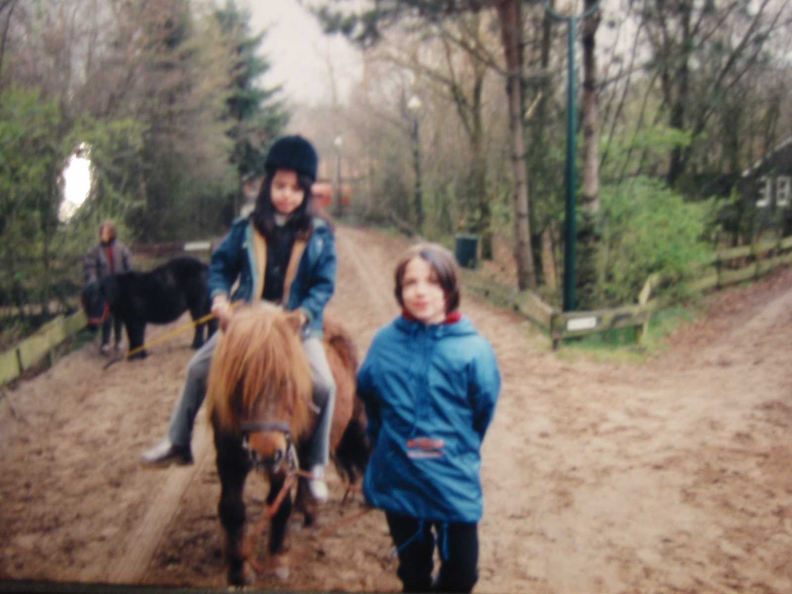 Ponypark Collendoorn