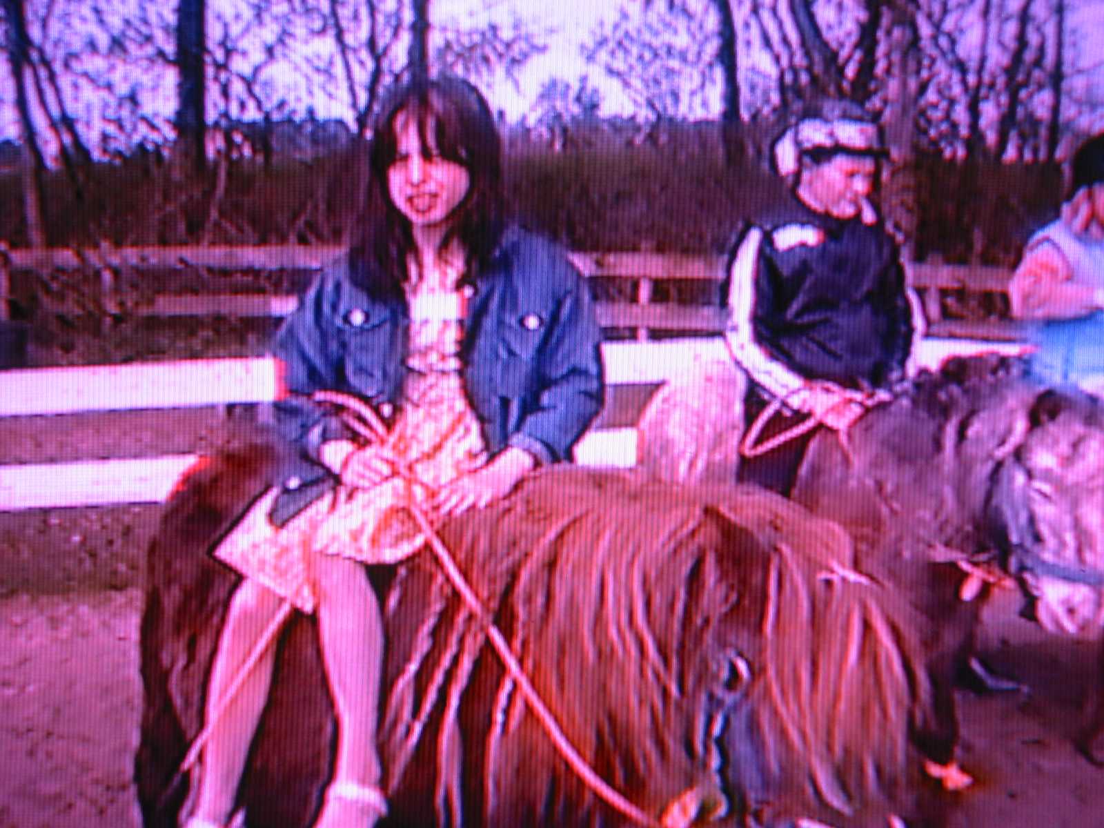 Ponypark Collendoorn